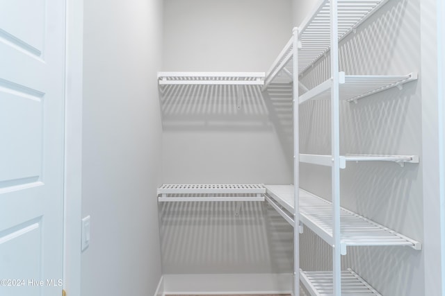 951 Trisail Ter, Wilmington, NC 28412 - view of walk in closet
