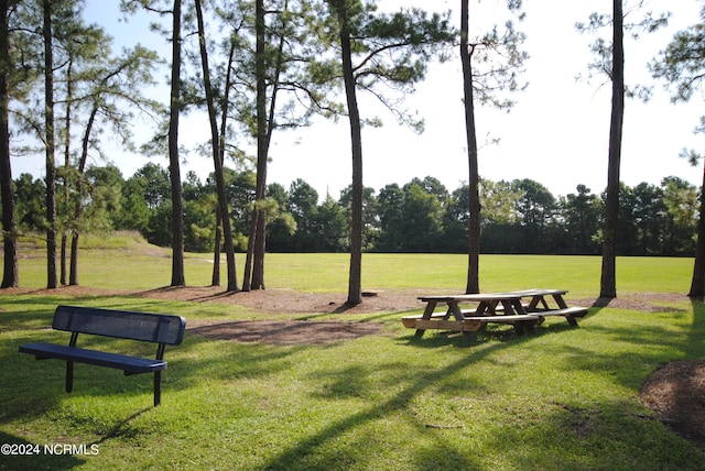 view of community featuring a lawn