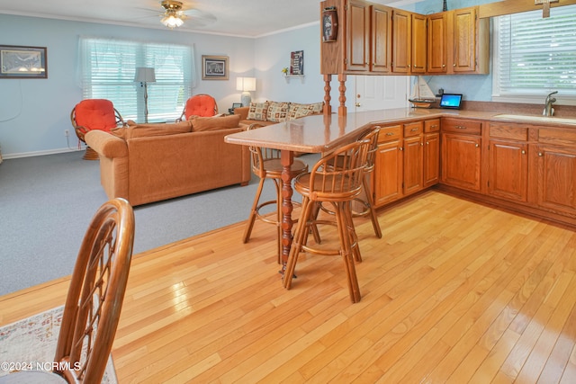 kitchen with kitchen peninsula, crown molding, ceiling fan, light hardwood / wood-style flooring, and sink