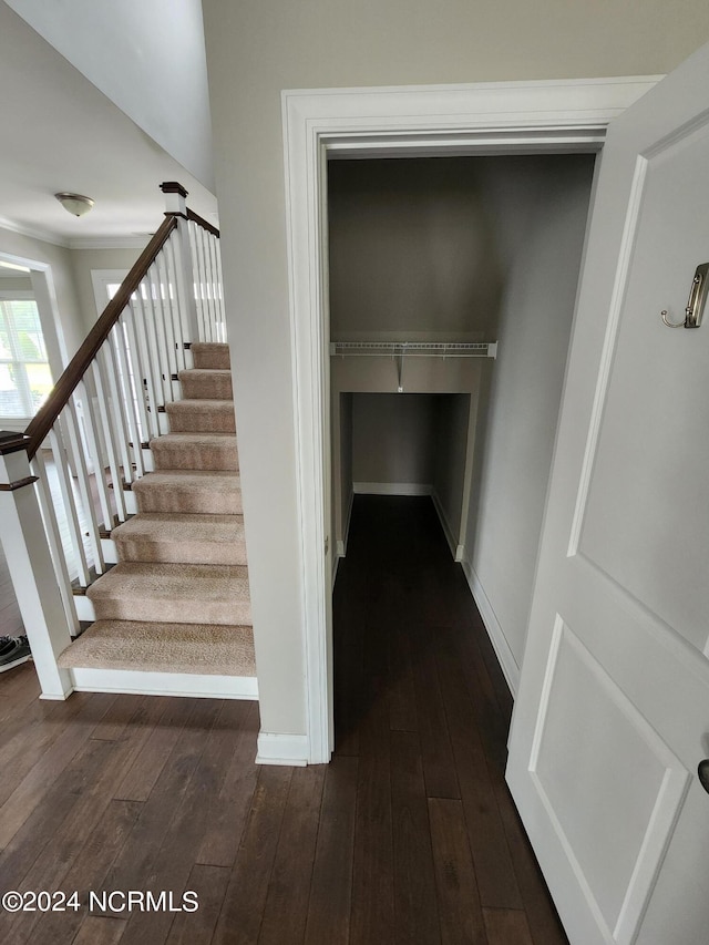 staircase featuring wood-type flooring