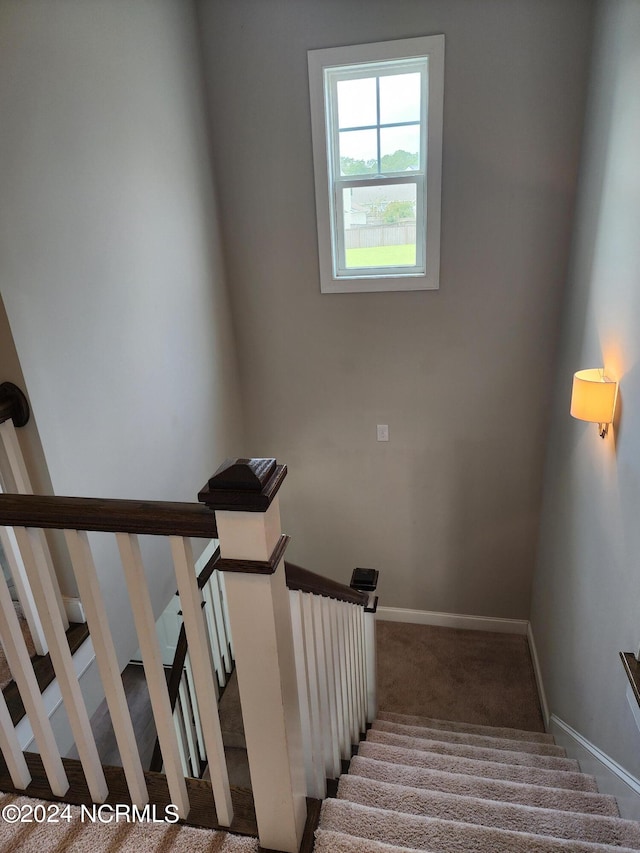 staircase with carpet floors