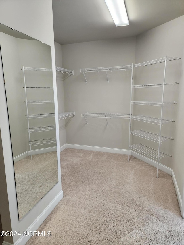 walk in closet with carpet flooring