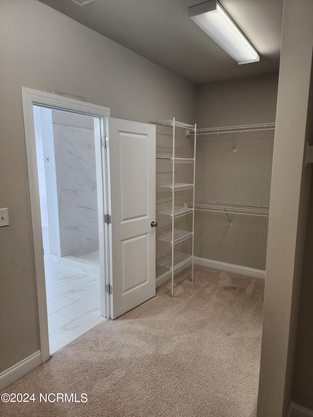 spacious closet featuring carpet floors