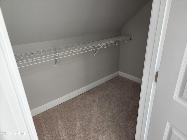 walk in closet with carpet flooring