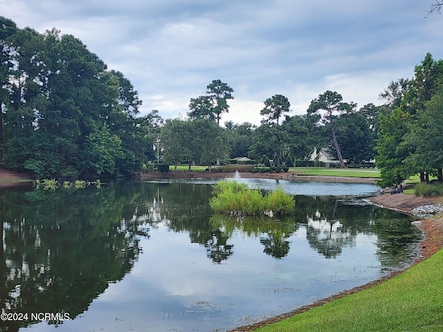 property view of water