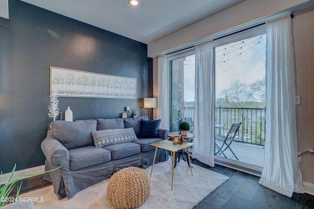 living room with dark hardwood / wood-style floors