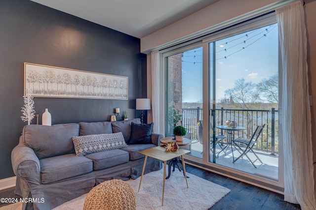 living room with dark hardwood / wood-style flooring