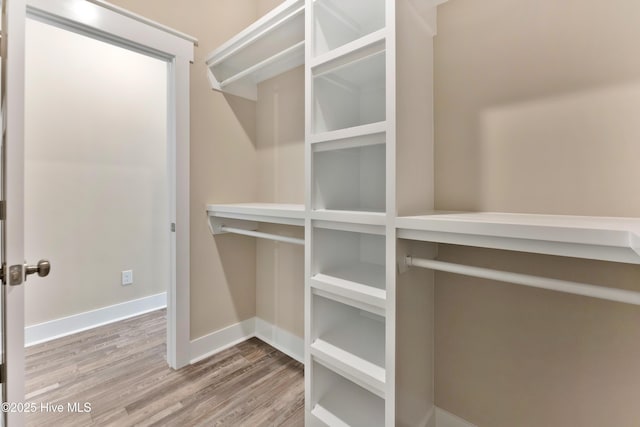 walk in closet with hardwood / wood-style flooring