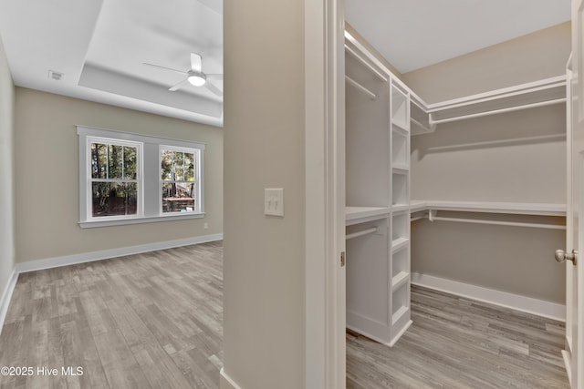 spacious closet with ceiling fan and light hardwood / wood-style floors