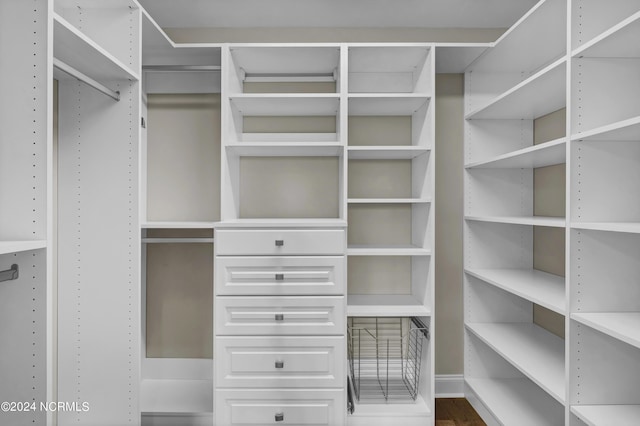 view of walk in closet