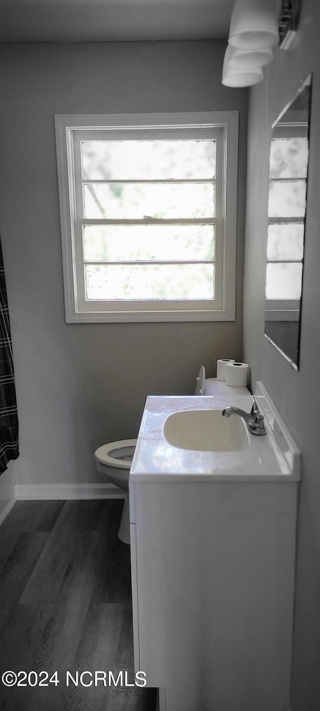 bathroom with vanity, toilet, and hardwood / wood-style flooring