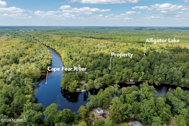 LOT28 Riverview Dr, Burgaw NC, 28425 land for sale