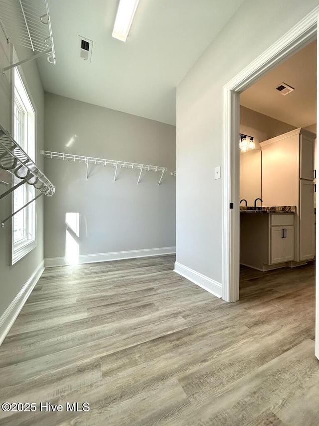 spacious closet with light wood-type flooring