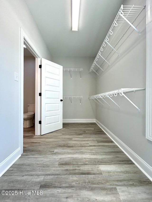 walk in closet featuring hardwood / wood-style floors