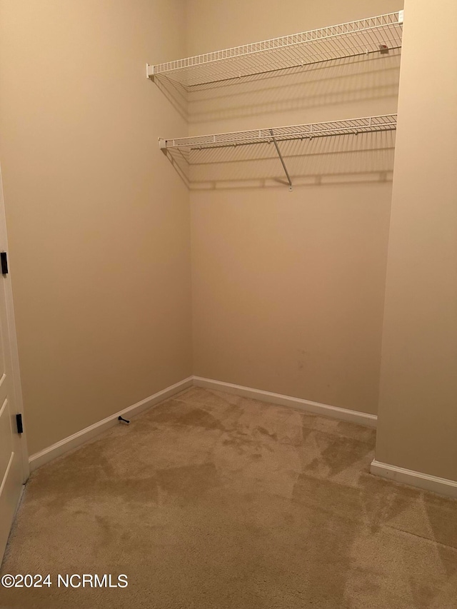 spacious closet featuring carpet floors