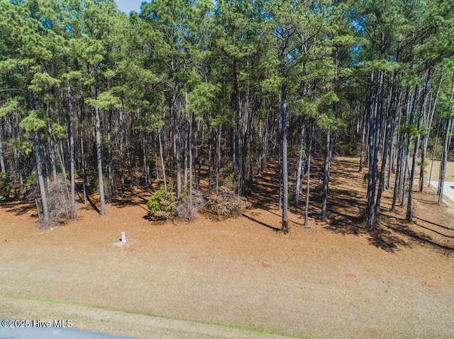 76 Chickory Ln Unit 37, Minnesott Beach NC, 28510 land for sale