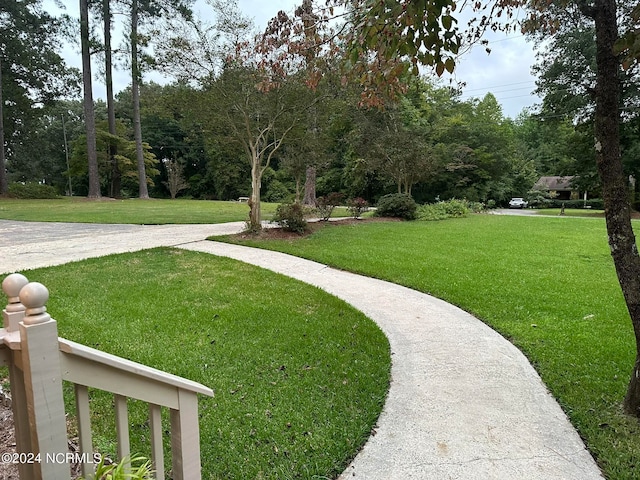 view of community featuring a lawn