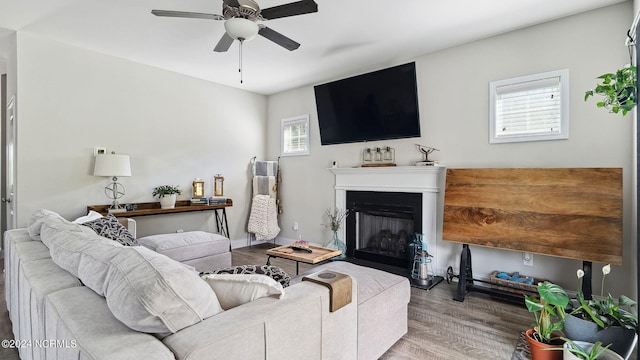 living room with hardwood / wood-style floors, ceiling fan, and a healthy amount of sunlight