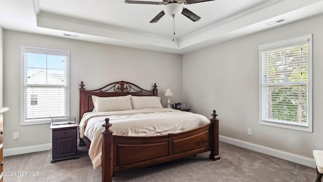 carpeted bedroom with a tray ceiling, multiple windows, ceiling fan, and crown molding