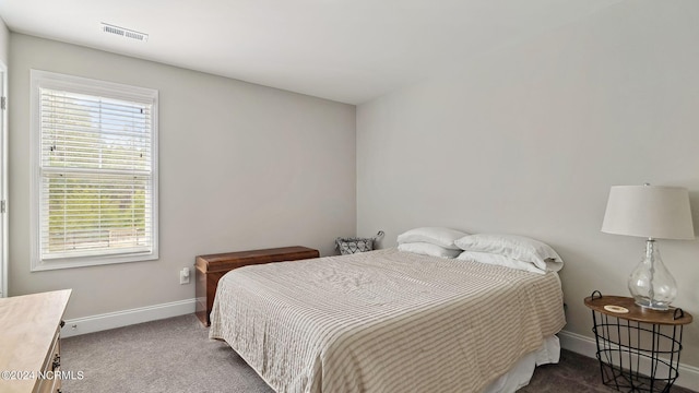 bedroom with multiple windows and carpet flooring