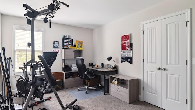 view of carpeted office space