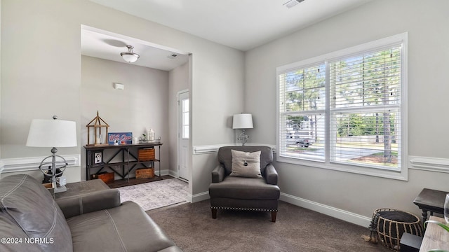 view of carpeted living room