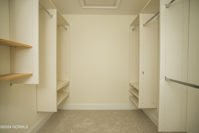 walk in closet featuring attic access and carpet