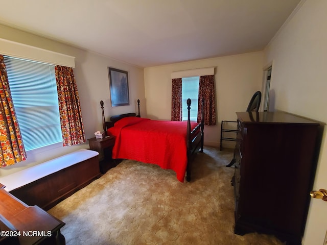 view of carpeted bedroom