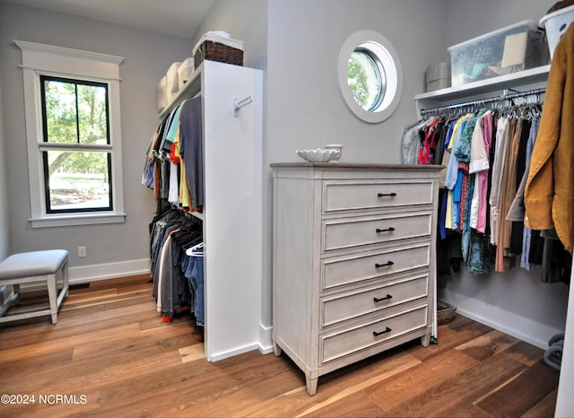 spacious closet featuring wood-type flooring