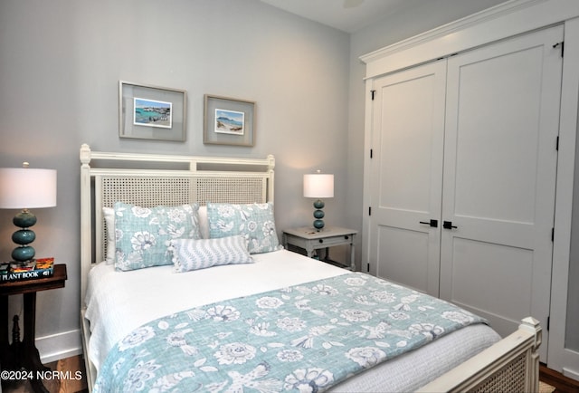 bedroom with a closet and wood-type flooring