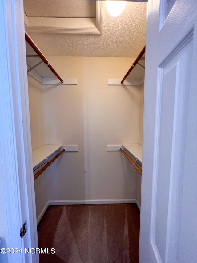 spacious closet with dark carpet