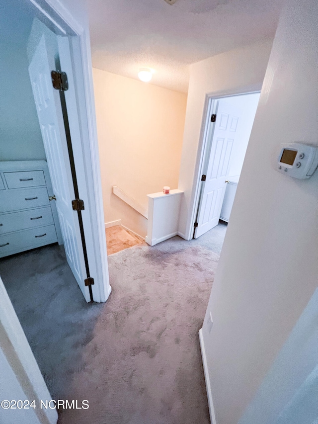 hallway featuring carpet flooring