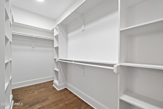 walk in closet with dark hardwood / wood-style flooring