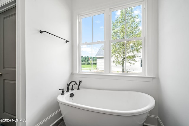 bathroom featuring a washtub and a healthy amount of sunlight