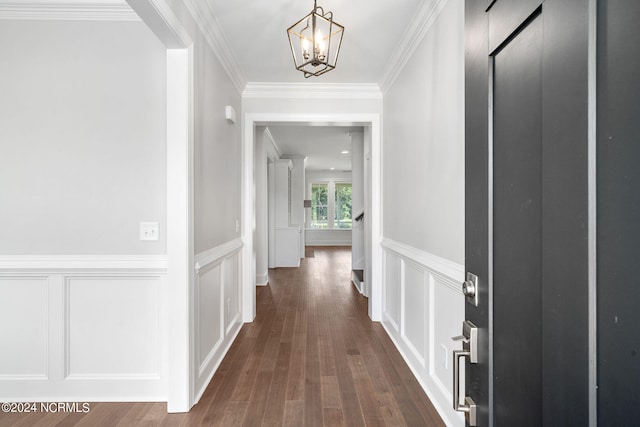 corridor with crown molding, a chandelier, and dark hardwood / wood-style floors