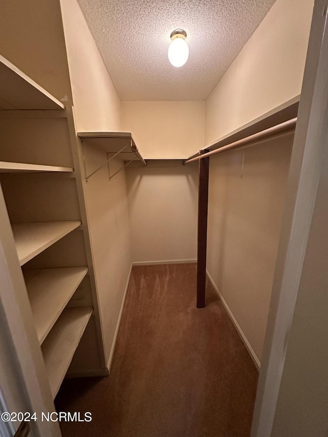 spacious closet with dark carpet