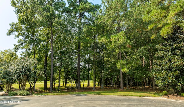 1631 Silverwood Ct SE Unit U1-41, Bolivia NC, 28422 land for sale