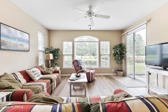 living room with ceiling fan and light wood-type flooring