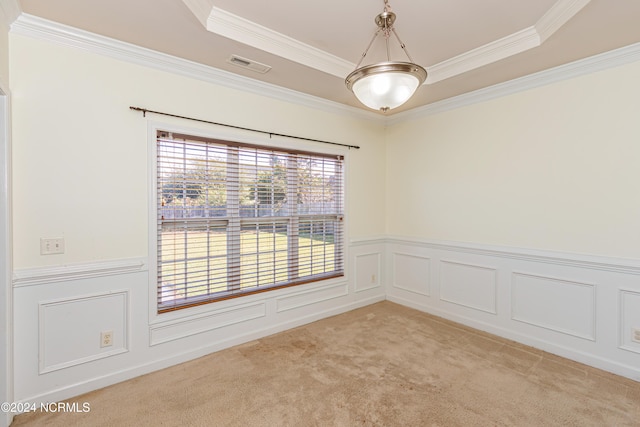 spare room featuring light carpet, ornamental molding, and a raised ceiling