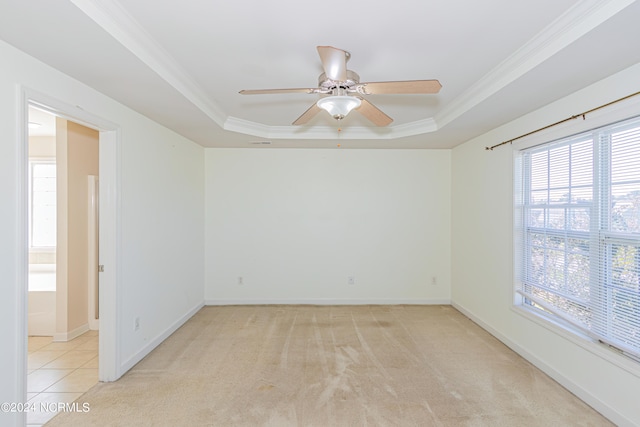 carpeted empty room with ornamental molding, ceiling fan, and a raised ceiling