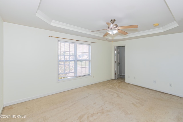 carpeted spare room featuring ornamental molding, ceiling fan, and a raised ceiling