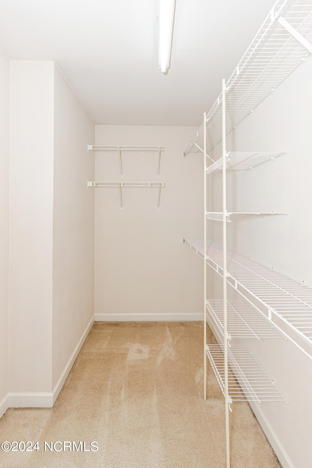 walk in closet with carpet floors