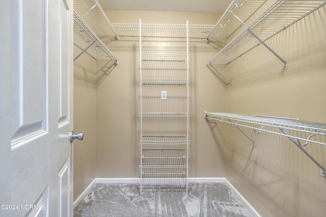 spacious closet with carpet flooring