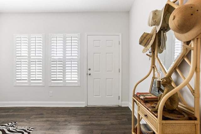 foyer entrance featuring dark hardwood / wood-style floors