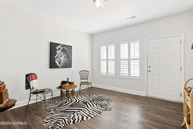 living area featuring dark wood-type flooring