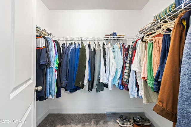 spacious closet featuring carpet floors