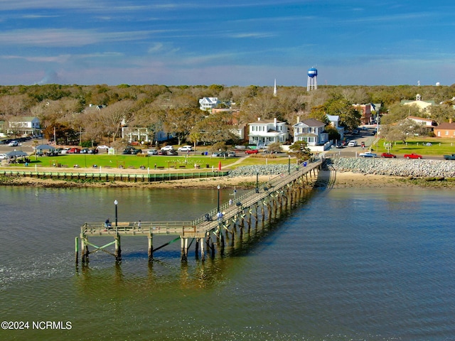 dock area with a water view