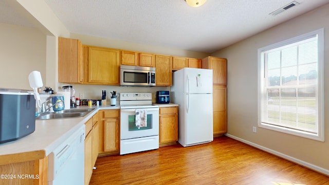 kitchen with white appliances, a textured ceiling, light brown cabinetry, light hardwood / wood-style flooring, and sink