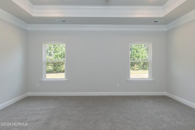 empty room featuring carpet flooring, ceiling fan, crown molding, and a tray ceiling