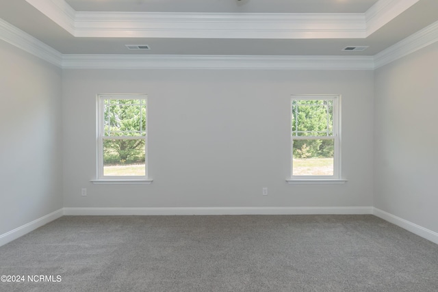 carpeted spare room featuring a healthy amount of sunlight, crown molding, and a tray ceiling